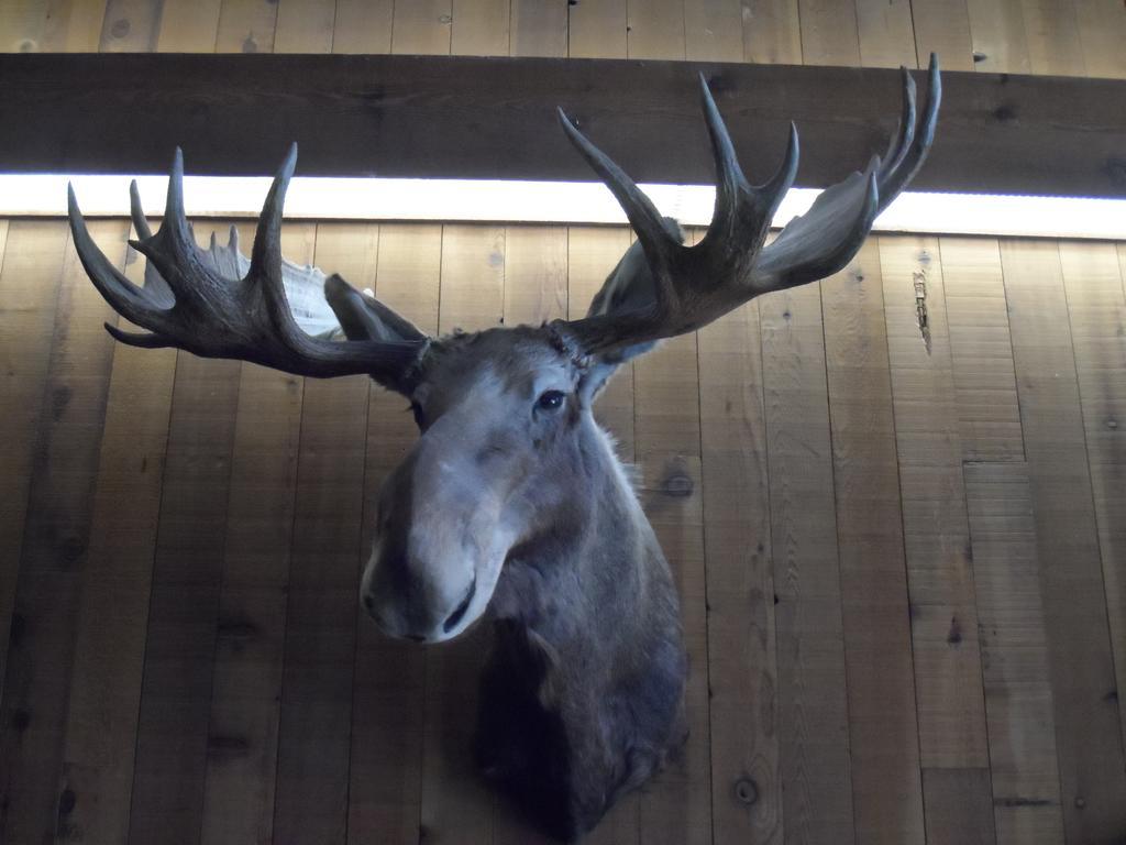 Bear Lodge Motel Sundance Buitenkant foto