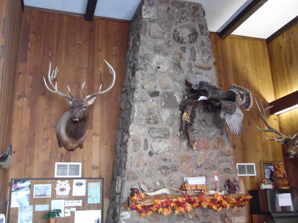 Bear Lodge Motel Sundance Buitenkant foto