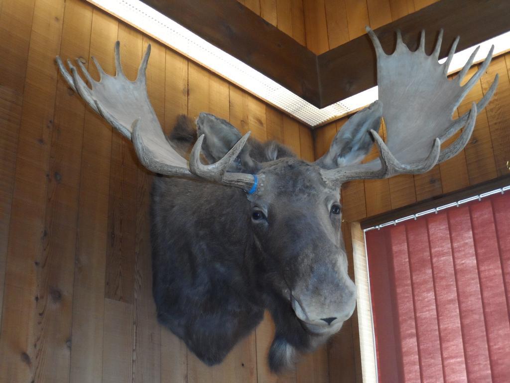 Bear Lodge Motel Sundance Buitenkant foto