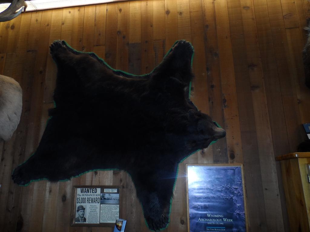 Bear Lodge Motel Sundance Buitenkant foto